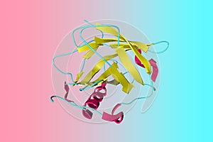 Crystal structure of anticalin-colchicine complex. Ribbons diagram in secondary structure coloring based on protein data
