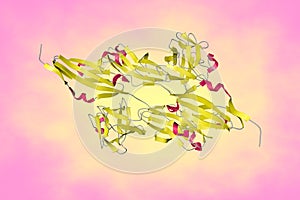 Crystal structure of fibroblast growth factor 1 (FGF1) in complex with extracellular ligand binding of