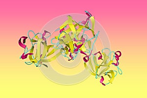 Crystal structure of fibroblast growth factor 18 (FGF18). Ribbons diagram in secondary structure coloring based