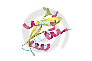 Crystal structure of human angiogenin, a potent stimulator of new blood vessels through the process of angiogenesis. 3d photo