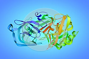 Crystal structure of human beta secretase (BASE) in complex with inhibitor. Ribbons diagram in rainbow colors on blue photo