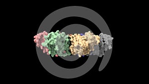 Crystal structure of the human CaMKII-alpha hub