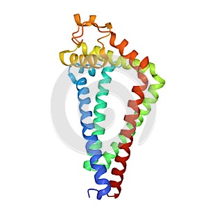 Crystal structure of human CD9, 3D cartoon model, white background photo