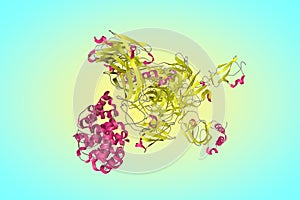 Crystal structure of the human Complement C3b in complex with Smallpox Inhibitor of Complement on colorful background