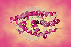 Crystal structure of human estrogen-related receptor gamma ligand binding domain complex with bisphenol Z
