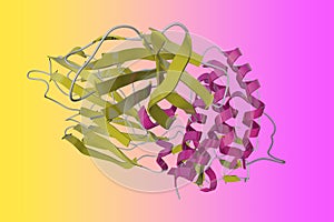 Crystal structure of human interleukin-2 in complex with interleukin-2 receptor. Ribbons diagram in secondary structure