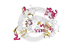 Crystal structure of human matrix metalloproteinase MMP9 (gelatinase B)