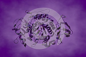 Crystal structure of human pancreatic alpha-amylase in complex with the mechanism based inactivator glucosyl