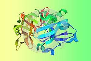 Crystal structure of human pepsin 3b. Ribbons diagram in rainbow colors on colorful background. 3d illustration