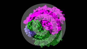 Crystal structure of human polynucleotide phosphorylase