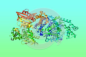 Crystal structure of human prostatic acid phosphatase, biomarker of prostate cancer. Ribbons diagram in rainbow colors photo