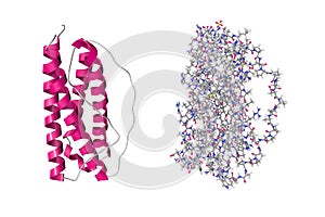 Crystal structure and molecular model of human interleukin-11 isolated on white background. Rendering based on protein