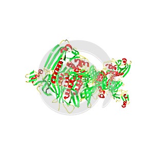 Crystal structure of pertussis toxin produced by bacterium Bordetella pertussis. Scientific background. 3d illustration