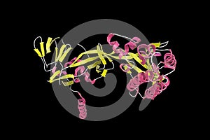Crystal structure of the prefusion form of measles virus fusion protein isolated on black background. Medical background photo