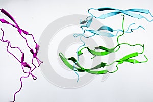 Crystal structure of protein