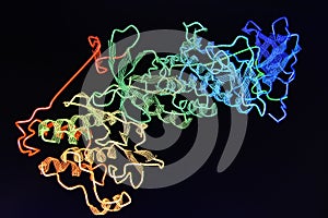 Crystal structure of protein