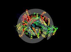 The crystal structure of the tumor marker protein.