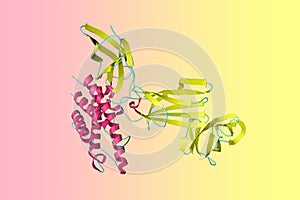 Crystal structure of unbound interleukin-23 (IL-23), a member of the IL-12 family. Ribbons diagram in secondary