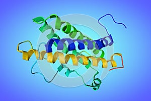 Crystal structurel of human prolactin. Ribbons diagram in rainbow colors on blue background. Rendering based on protein