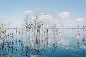 Crystal water of the lake Naroch