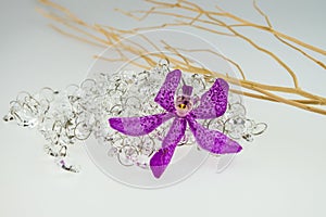 Crystal and wooden stick with Pink mokara orchids on white bac