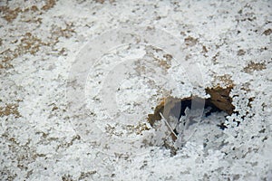 Crystalline salt flakes on Lake Baskunchak