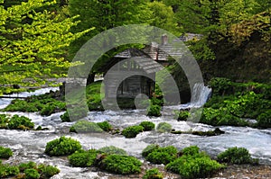 The spring of Cerna river,romania