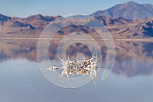 Crystallised salt formation Bonneville Salt Flats day light