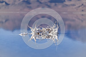 Crystallised salt formation reflected in the lake