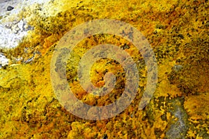 Crystallization of minerals