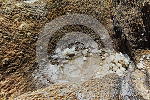 Crystallization of salt on the rocks