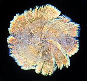 Crystallized Ascorbic Acid