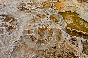 Crystallized calcium carbonate at Mammoth Hot Springs
