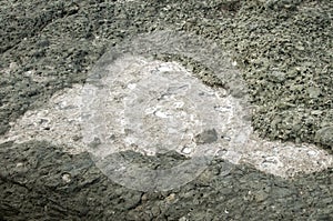 Crystallized sea salt on sea rock