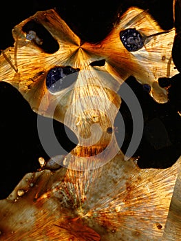 Crystallized Sulphur Design