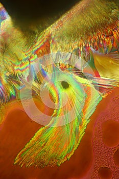 Crystallized Vitamin C