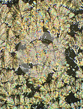 Crystals of Ascorbic Acid