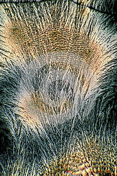 Crystallized Vitamin C