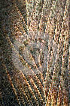 Crystals of Ascorbic Acid