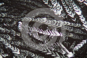 Crystals of Erythritol under the microscope