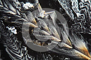 Crystals of Erythritol under the microscope