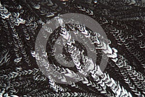 Crystals of Erythritol under the microscope