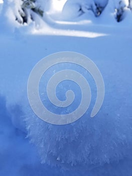 Crystals in the Snow