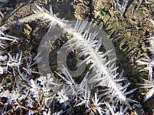 Crystals of frost after the frost. Frosty winter morning decorated with ice crystals. Details and close-up.