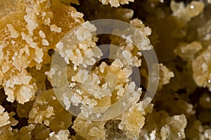 Crystals of gypsum