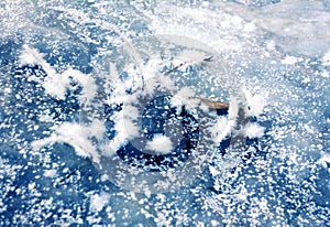 Crystals on ice as egret feathers