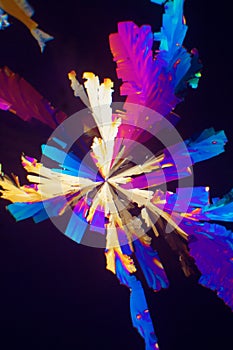 Crystals of intensive colors under Pola-Microscope