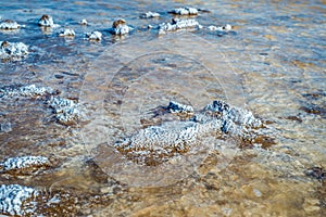 Crystals of natural salt in the lifeless hot terrain on the salt lake Baskunchak