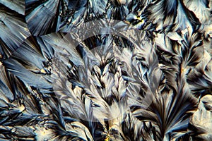 Crystals of Paracetamol under a microscope.