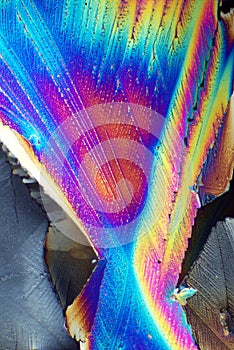 Crystals in polarized light